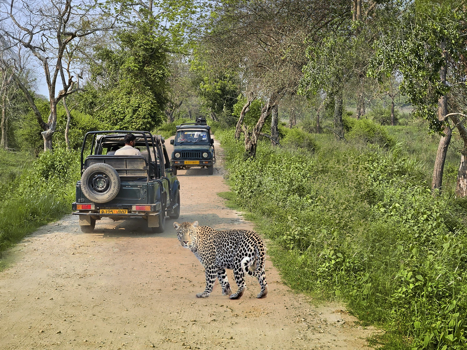 Adventurous Jawai Weekend Tour - 2 Nights / 3 Days (3 Gypsy safari)